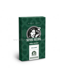 Maple Leaf Indica regular